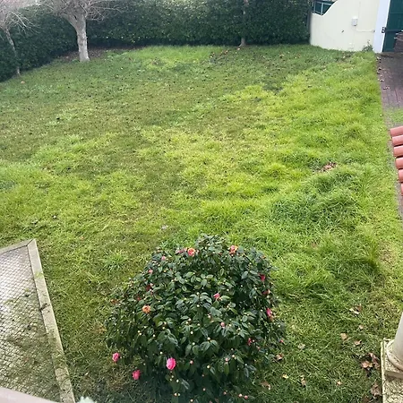 The Yellow Retreat A dos Cunhados