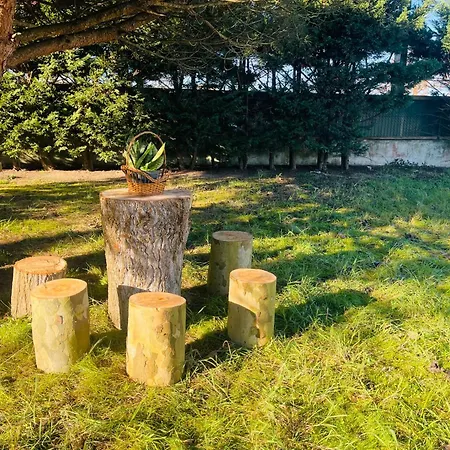 The Yellow Retreat Проживание в семье