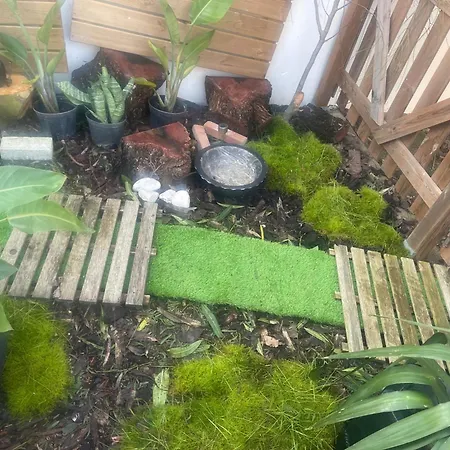 Проживание в семье The Yellow Retreat *