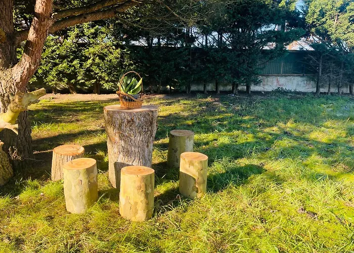 The Yellow Retreat בית אירוח