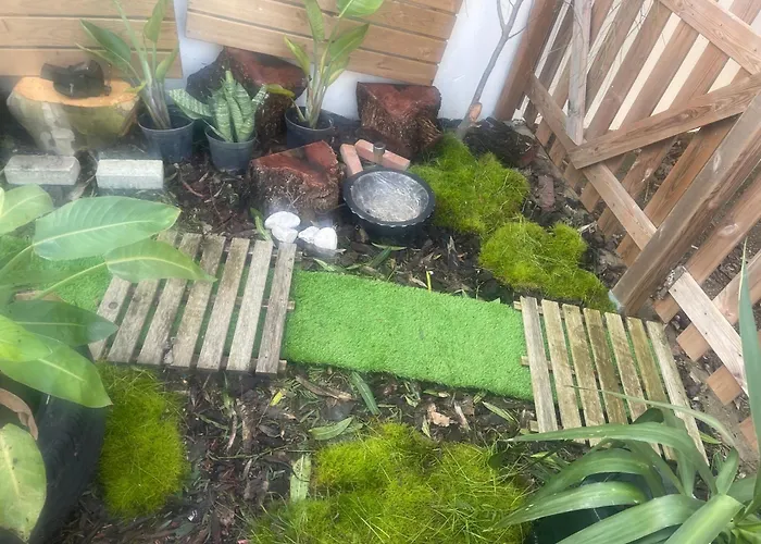 Проживание в семье The Yellow Retreat *